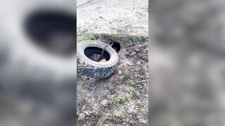 Cleaning the drain after a flood