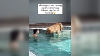 Dog Day Sunday - The Bubbler