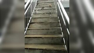 One step at a time bros