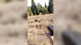 Lucky He Was Armed: Hunter Shoots At A Cougar As It Starts To Char