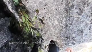 Rock Climber Fights Off Bear Attack