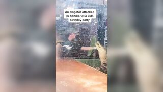 Girl bit by alligator