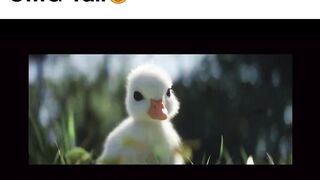 Why