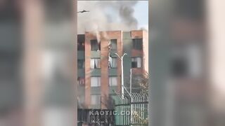 Man Rescues Dog And Owner From Burning Apartment