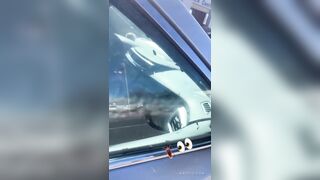 Roach Infested Car will make you Throw up