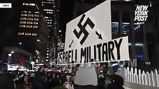 Man With SWASTIKA SIGN arrested at Pro-Palestine Protest