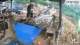 2  Tree Workers Shredded In Vietnam