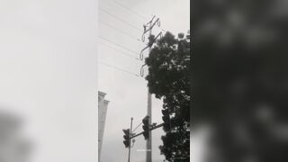 Genius Learns All About Electricity [+Aftermath]