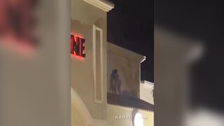 Kinky drunk, naked woman gets talked down from a Japanese restaurant's roof. But then...