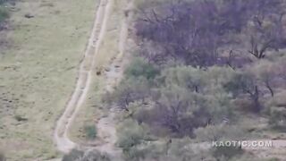 Drone films hitmen fleeing the Mexican Army