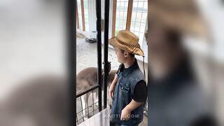 Kangaroo Chokes Midget