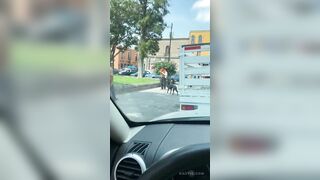 Street Dogs Protect Street Man From Street Thug