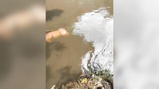 Female Body Floating In Mesquita River, Rio de Janeiro