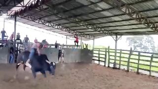 Bull`s Revenge In Costa Rica