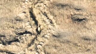 Ukrainian Soldiers in A Minefield