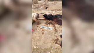 War Zone Footage: Israeli Soldiers Adding Pork To Their Weaponry