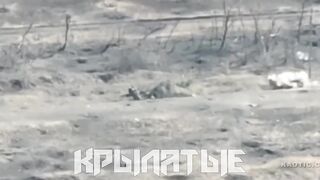 Do you think the Ukrainian soldiers survived after that?