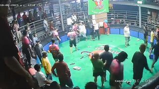 Man Shoots Opponent Dead After Losing Cockfight