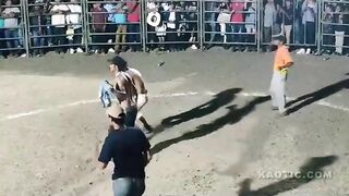 Great new sport, Nicaraguan bull bowling!