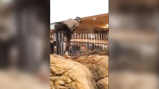 Guy jumps into bass pro shop water