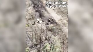 Another FPV wasp abusing tourists from swamps