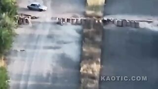 Lada Driver Narrowly Dodges Biological NATO Bee