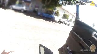 Suspect Tased By LAPD Officer