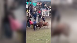 Ecuadorian Bull`s Revenge