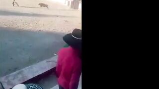 Bull Kills A Man In Peru