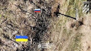 Invaders get ambushed by Ukrainian armed forces and destroyed