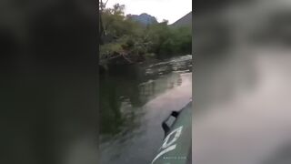 Nature Always Wins: Bear Attacks Tourists Riding in Boat