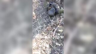 Ukrainian Soldiers Killed In Battle