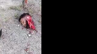 Motorcycle Accident In Dominican Republic