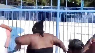 Pool Hippos Fight it Out(repost)
