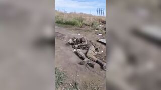 Russian fighters are "resting"