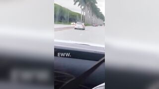 Chevrolet smashes into a palm tree in West Palm Beach