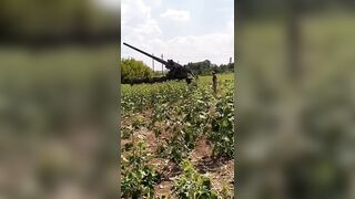 Ukrainian Artillery Fail