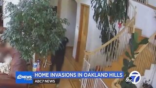 criminals Are Targeting Elderly Asian Families In Frightening Home Invasions In Oakland, 50 Homes Hit So Far