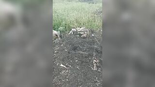 Ukrainian Soldiers Walk Over Decomposing Russians