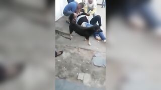 Hokers fight HOT MEGA BUSTY woman and black woman