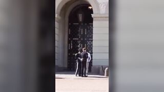 Man tries to fight The King’s Guard outside the Royal Palace