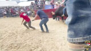 More Bullfighters That Don't Learn