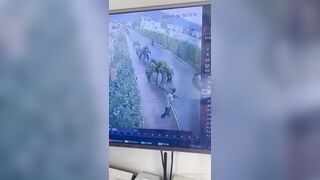 Bicycle Thief Takes Metal Pole to the Face
