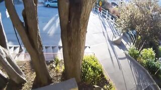 Speeding Car Fly Off The Sanchez Street Stairs in San Francisco, Everyone Inside Leaves The Scene Before Police Arrive