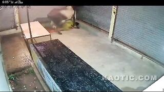 Bull Attacks A Man In India