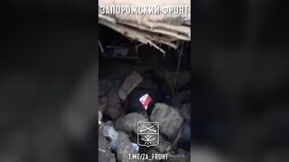 The corpses of Ukrainians rot and flies sit on them. Do not watch videos after eating!