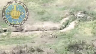 It is a trap! Ukrainian jumps into a mined trench