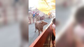 Two Injured At Bull Fest In Spain