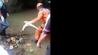 Gruesome Find In Colombia