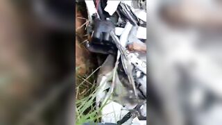 Fatal Crash In Wenceslau Guimarães, BR